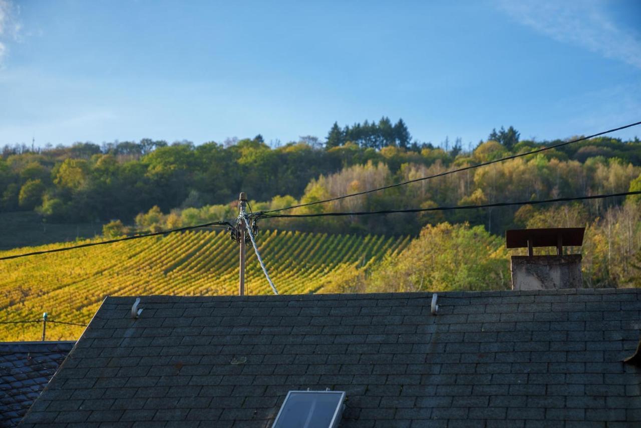 Appartamento Gruenberg House Traben-Trarbach Esterno foto